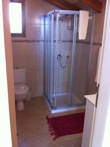 a bathroom with a shower and a toilet at Off The Square in Safed