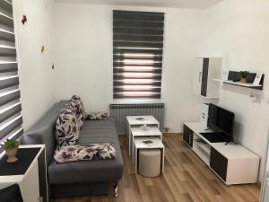 Televízia a/alebo spoločenská miestnosť v ubytovaní Apartment & Room TOMA