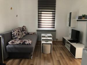 Televízia a/alebo spoločenská miestnosť v ubytovaní Apartment & Room TOMA
