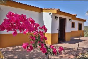 Gallery image of Finca la cigarra in Almodóvar del Río