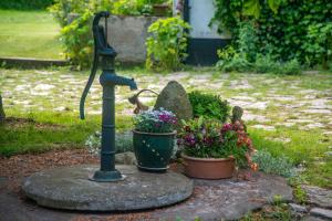 A garden outside Lunkaberg Bed & Breakfast