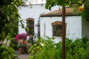 A garden outside Lunkaberg Bed & Breakfast