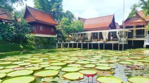 a large pond filled with lilies in front of a building at Ma Doo Bua Phuket - SHA Extra Plus in Thalang