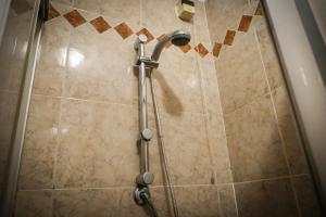 a shower with a shower head in a bathroom at VILLANOVA HOTEL in San Bonifacio +29 photos