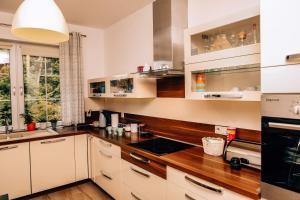 Dapur atau dapur kecil di Pluski Dom "Ryś" nad J. Pluszne
