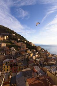 a view of a city with a bird flying in the sky at Casato Bapo camera panoramica Aurora in Riomaggiore