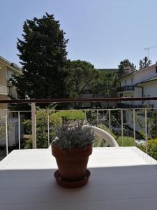 een potplant op een tafel op een balkon bij Cosy Apartment in Grado