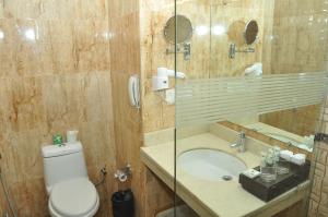 Hotel JSR Continental的一间浴室