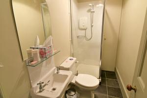 a bathroom with a toilet and a sink and a shower at Gardeners Cottage in Chesthill