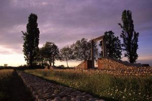 a stone wall next to a field with trees at MARSAM locanda in Bene Vagienna
