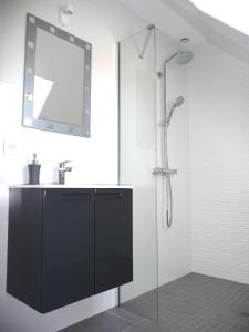 een badkamer met een douche, een wastafel en een spiegel bij Charmant sudio aux portes de Colmar in Durrenentzen