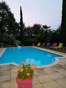 - une piscine bleue avec des fleurs dans un pot dans l'établissement Appartement Côté Sud vert, à Sarlat-la-Canéda