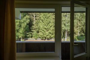 ein Fenster in einem Zimmer mit Blick auf die Bäume in der Unterkunft Egliu Slenis in Juodkrantė