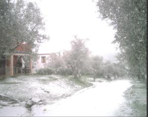 Fotografie z fotogalerie ubytování Las Casas De "El Cerrillo" v destinaci Montesclaros + 17 fotografií