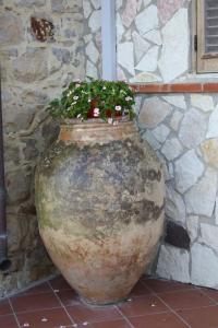 un grande vaso di pietra con una pianta di Camere & Case Vacanze Lo Scoglio a Castel di Tusa