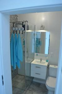 W łazience znajduje się prysznic, toaleta i umywalka. w obiekcie Apartament z panoramicznym widokiem na morze blisko plaży i centrum PL ENG DE w mieście Międzyzdroje