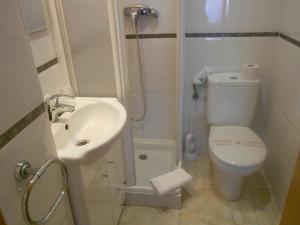 y baño con aseo, lavabo y ducha. en Hostal Ca La Irene, en Sant Vicenç de Castellet