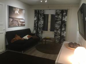 a living room with a black couch and a window at Martantalo in Oulu