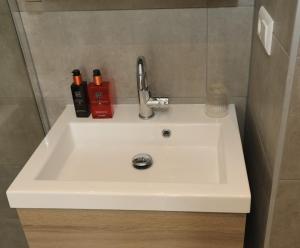 a bathroom sink with a faucet and bottles on it at B&B De Zwanebloem in Amsterdam