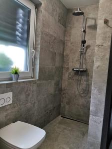 a bathroom with a shower with a toilet and a window at Brand new house Luna in Bled +25 photos