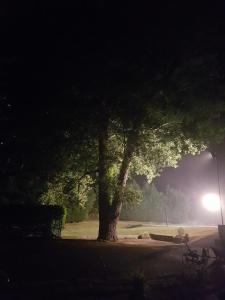 Zdjęcie z galerii obiektu Hotel AV Apartamentos Lobios w mieście Lobios