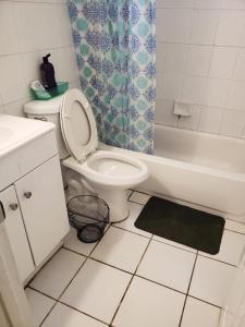La salle de bains est pourvue de toilettes et d'un rideau de douche. dans l'établissement Miami Cheapest Place, à Miami