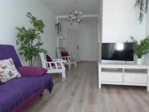 een woonkamer met een paarse bank en een tv bij VISTAMAR VISTALUNA in Corralejo
