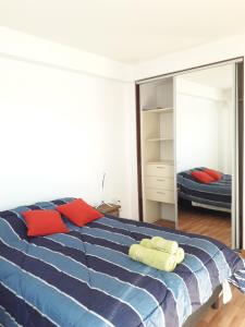 ein Schlafzimmer mit einem großen Bett und einem Spiegel in der Unterkunft Hermoso apartamento en el corazón de Santa Fe con cochera! in Santa Fe