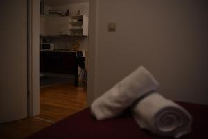 Kuchyň nebo kuchyňský kout v ubytování Oaza Apartman Arena Zagreb 2