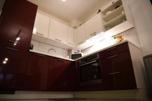 Kuchyň nebo kuchyňský kout v ubytování Oaza Apartman Arena Zagreb 2