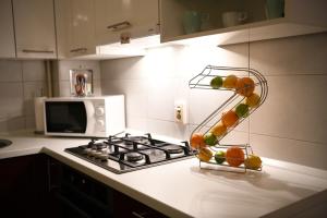 Kuchyň nebo kuchyňský kout v ubytování Oaza Apartman Arena Zagreb 2