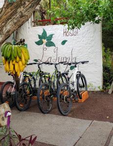 bicycles parked next to each other on a sidewalk at Hotel La Jungla in Puerto Villamil
