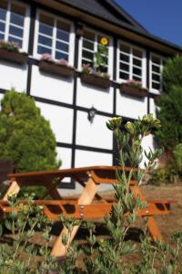 a wooden picnic table in front of a house at Wolfs Ferienhaus - Natürlich Eifel in Blankenheim