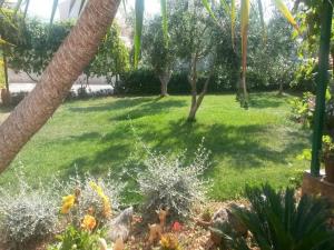 a yard with grass and palm trees and plants at Apartments Mare - 30m from beach in Seget Vranjica