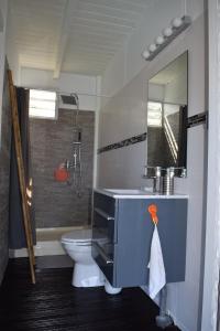 een badkamer met een toilet, een wastafel en een spiegel bij Bungalow la paillote in Le François