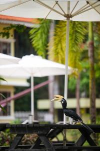 Mynd úr myndasafni af Anjungan Beach Resort í Pangkor