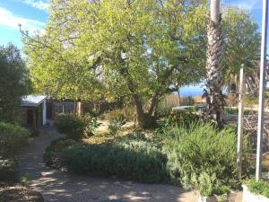 a garden with a tree and a sidewalk at The Cottage 60 on 21st Avenue in Mossel Bay