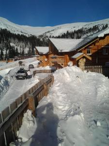 Almrauschhütte Markus v zime