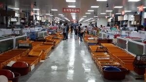 Supermarket nebo jiné obchody v  apartmánu nebo okolí