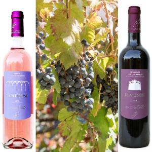 twee flessen wijn naast een bos druiven bij Il Raduno in Tramonti