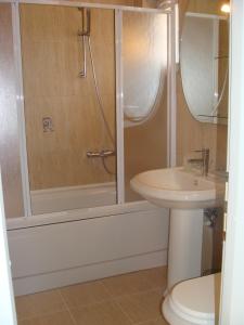 a bathroom with a shower and a toilet and a sink at Apartments Danilo Kažanegra in Sveti Stefan +33 photos