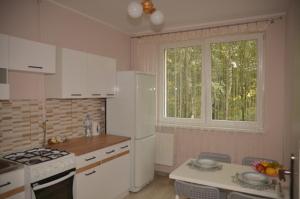 a kitchen with a white refrigerator and a window at Apartament Skałka in Jaworzno