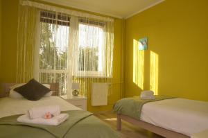 ヤヴォジュノにあるApartament Skałkaの黄色い部屋(ベッド2台、窓付)