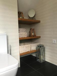 a bathroom with a toilet and a mirror on a shelf at Casa de Campo in Potes +6 photos