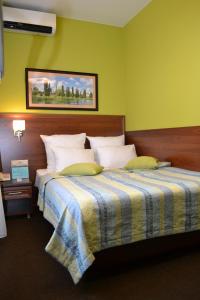 坦波夫的住宿－斯拉萬斯卡亞酒店，一间卧室配有一张带条纹毯子的大床