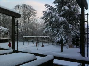 a garden covered in snow with a tree in the background at Hostel Flensburg in Flensburg