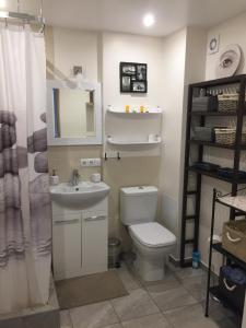 een badkamer met een toilet, een wastafel en een spiegel bij Smiltės apartamentai in Birštonas