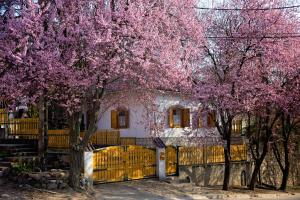 uma casa com árvores roxas em frente a uma cerca em Antalóczy Vendégház em Tokaj