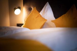 チェルメスにあるHotel und Residence Johanneshofのギャラリーの写真