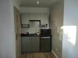Kuchyňa alebo kuchynka v ubytovaní Apartamenty Kletówka